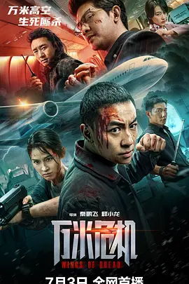 《万米危机》 (2026) 丨释小龙 -伊科·乌艾斯主演丨动作 / 犯罪丨中国大陆电影丨又名: 空中危机[夸克网盘]