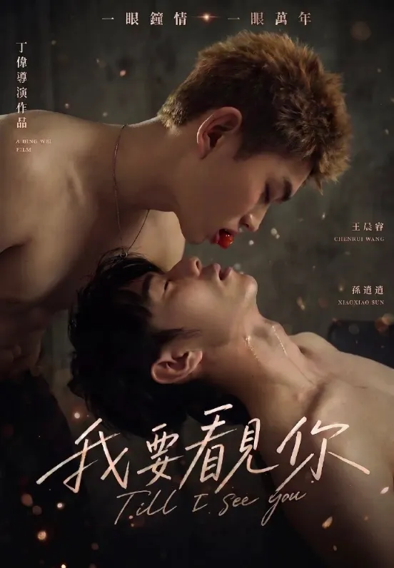 《我要看见你》 (2026)-剧情 / 爱情 双眼蒙纱布少年与温柔临时护工五年重逢-华腐[电视剧][夸克网盘/迅雷网盘]